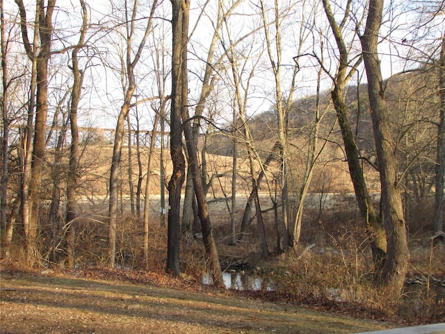 view of local wilderness