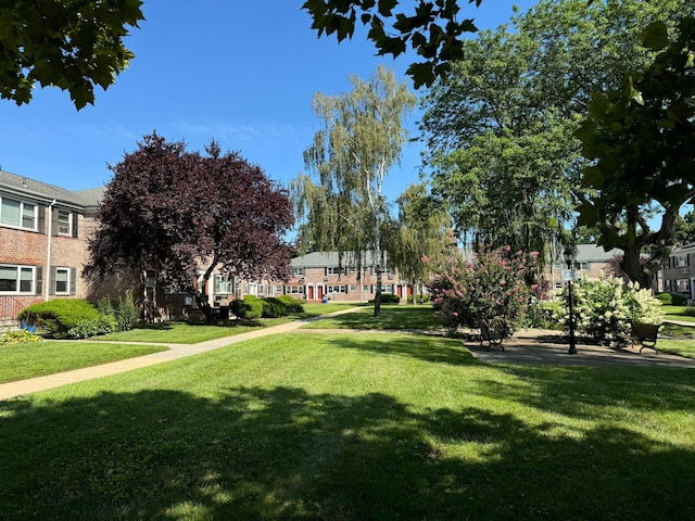 view of community featuring a lawn