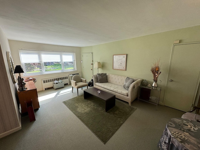 living room with carpet flooring and radiator heating unit