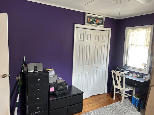 office space featuring crown molding and wood finished floors