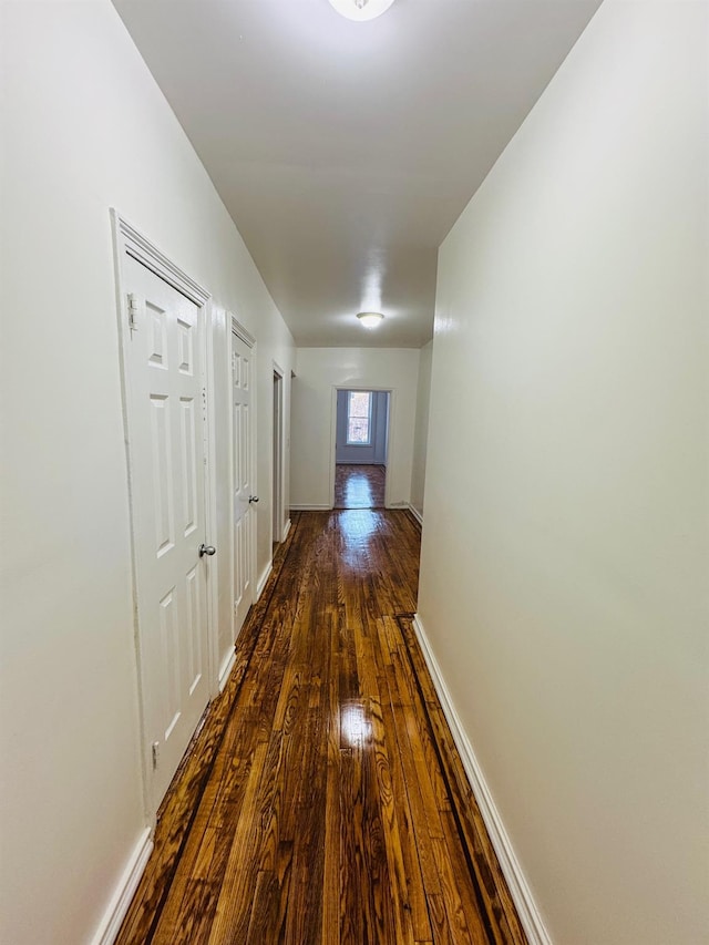 hallway with dark hardwood / wood-style flooring