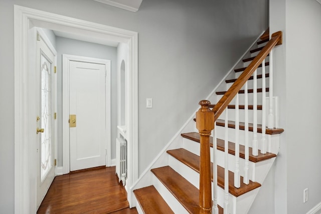 staircase featuring radiator and hardwood / wood-style flooring