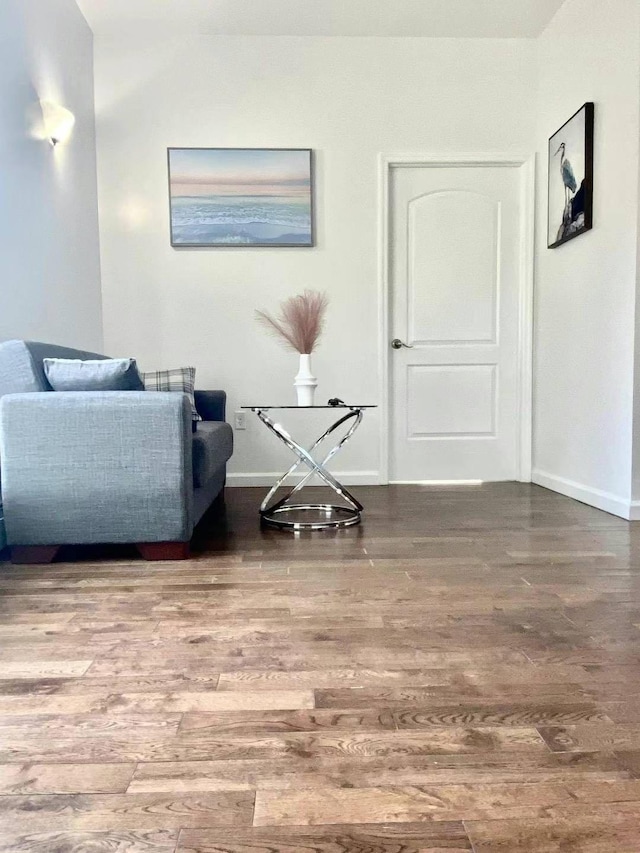 living area featuring wood-type flooring