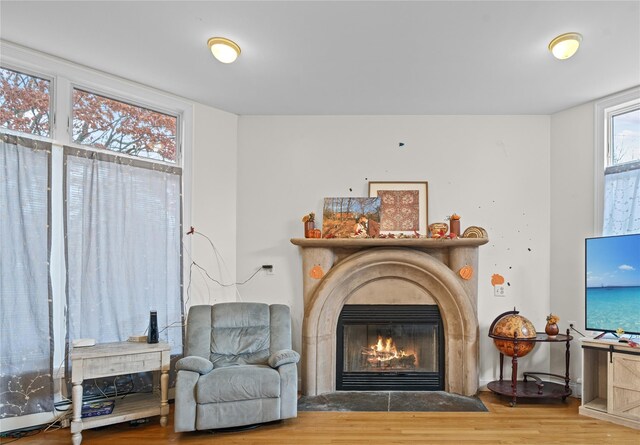 living area with wood-type flooring