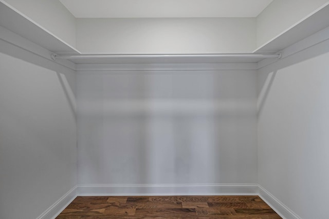 spacious closet featuring dark hardwood / wood-style flooring