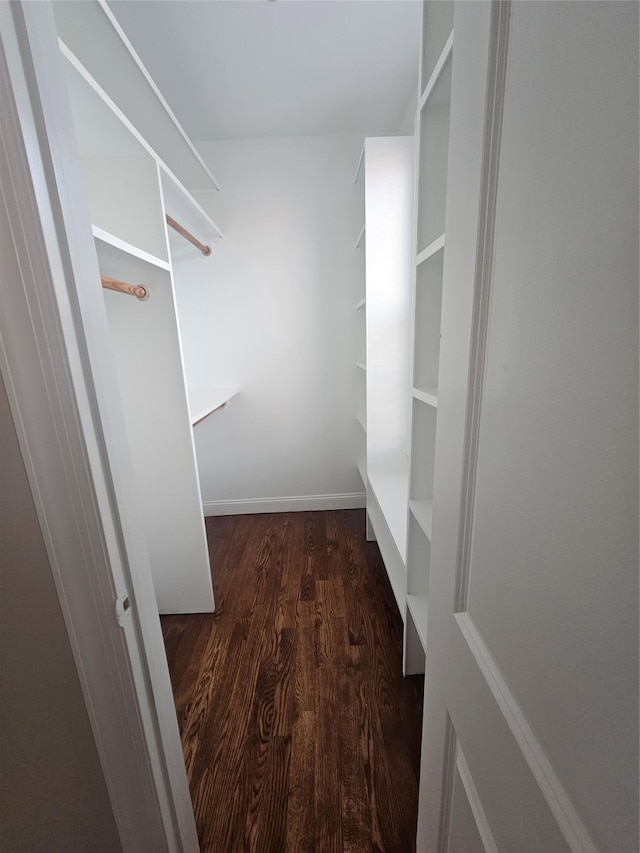 spacious closet featuring dark hardwood / wood-style flooring