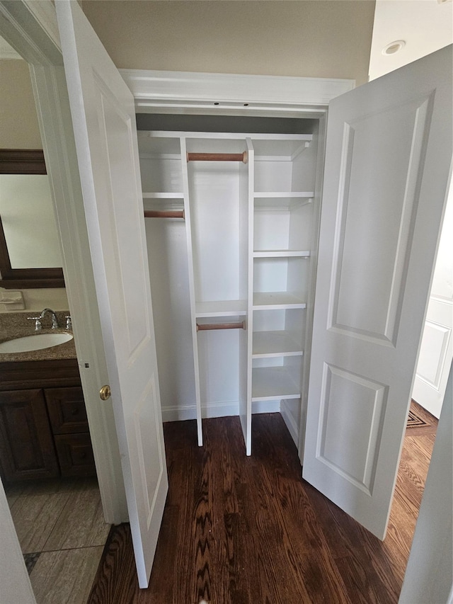 closet with sink