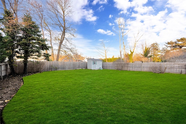 view of yard featuring a storage unit