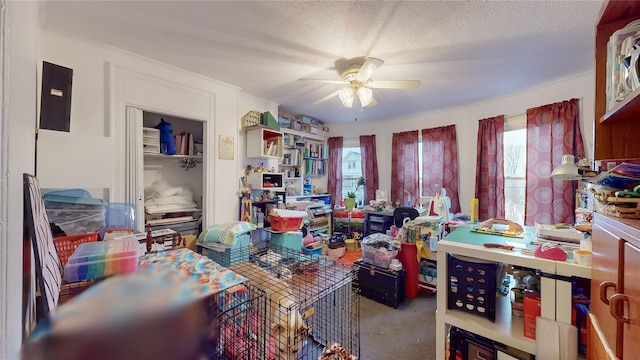 4 Elizabeth St, Port Jervis, NY 12771 - carpeted office space featuring ceiling fan, healthy amount of natural light, and a textured ceiling