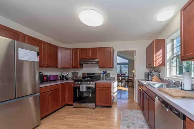 kitchen with light wood-type flooring, stainless steel appliances, and sink