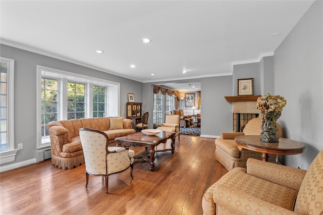 living room featuring a fireplace, crown molding, and light hardwood / wood-style flooring