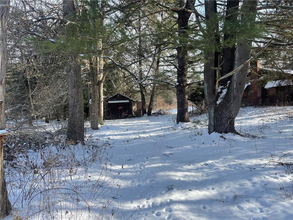 view of yard layered in snow