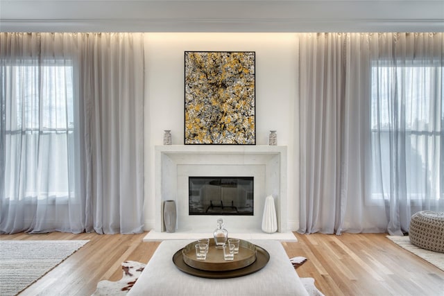 living room with hardwood / wood-style floors