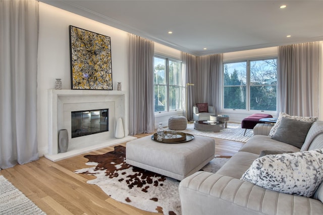 living room with a fireplace, light hardwood / wood-style flooring, and crown molding