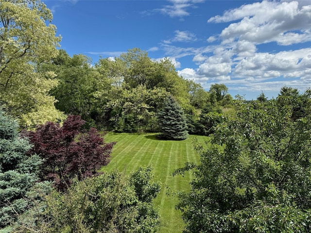 465 Sound Shore Rd, Aquebogue, NY 11901 - view of grassy yard featuring a view of trees