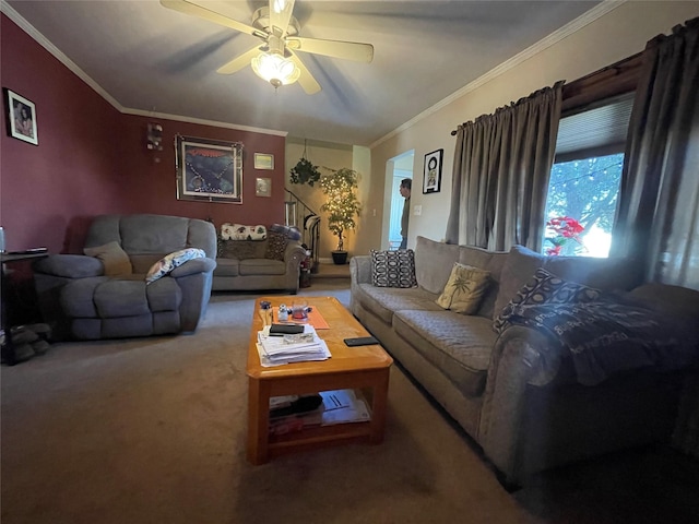 living room with carpet, ceiling fan, and crown molding