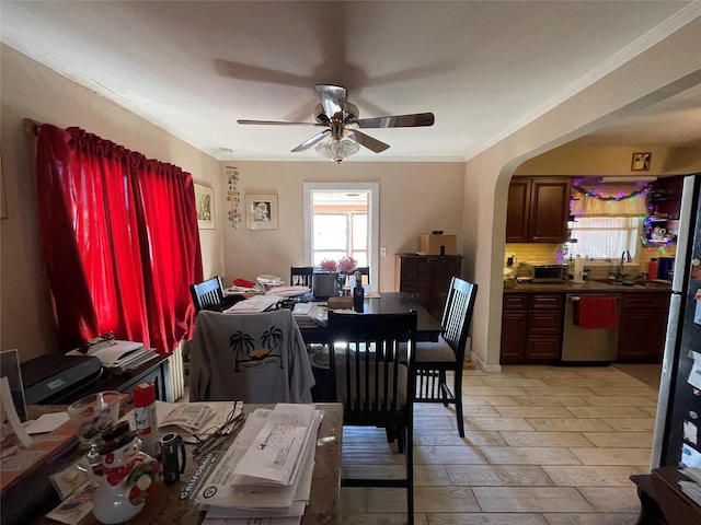 dining space with ceiling fan, ornamental molding, and sink