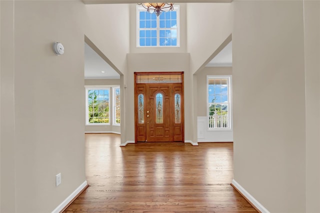 entrance foyer featuring wood-type flooring, a towering ceiling, and an inviting chandelier