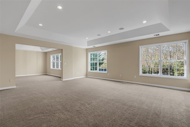 spare room featuring a raised ceiling and carpet flooring