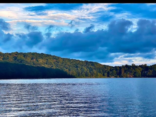 water view