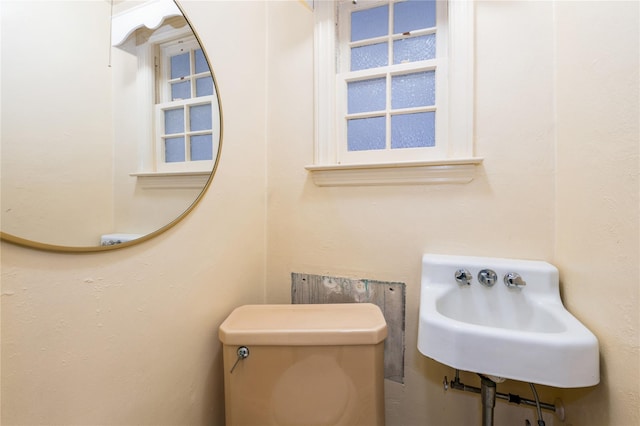 bathroom featuring toilet