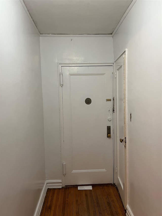 doorway featuring dark wood-type flooring