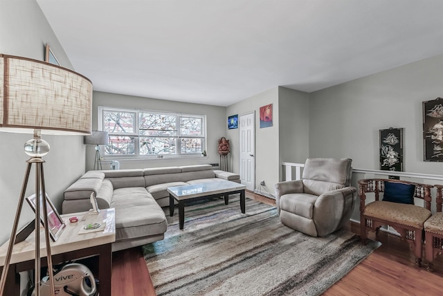 living room featuring dark wood-type flooring