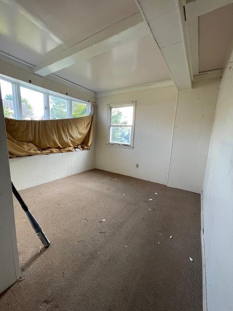 817 Southard St, Baldwin, NY 11510 - spare room featuring carpet floors, beam ceiling, and wooden walls