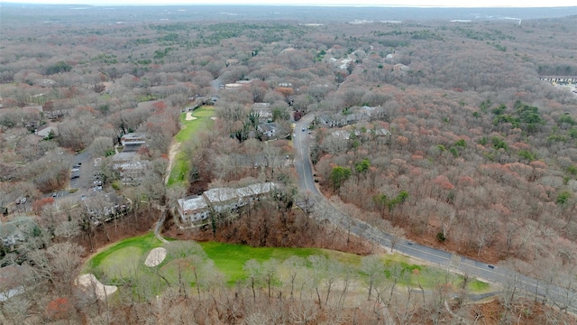 bird's eye view