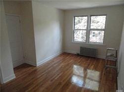 spare room featuring radiator heating unit and dark wood-type flooring