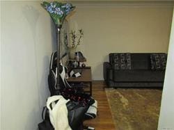 living room featuring wood-type flooring