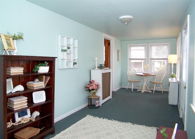 misc room featuring dark colored carpet