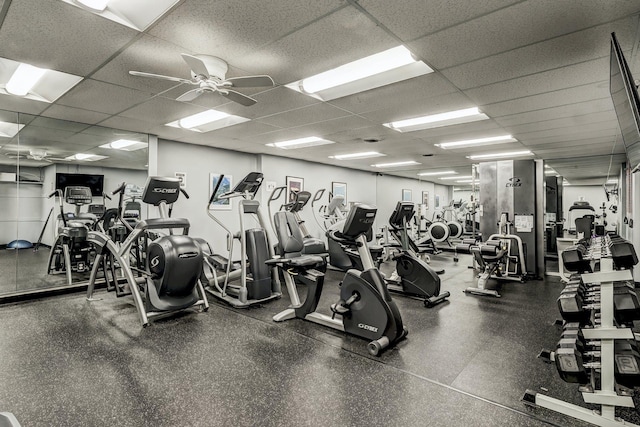 exercise room with a paneled ceiling and ceiling fan