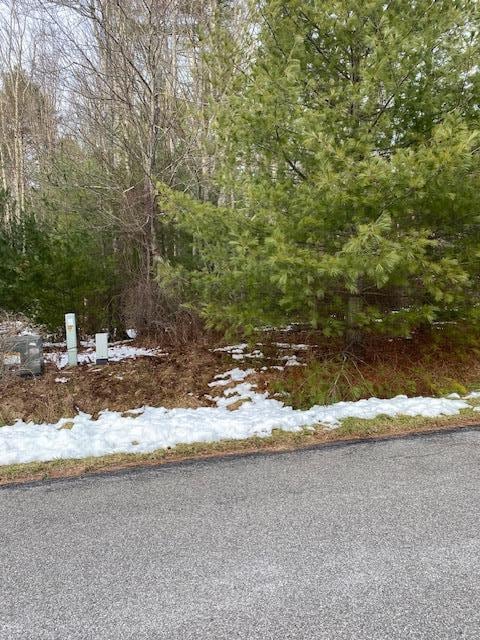 Listing photo 3 for LOT114 Old Congress Rd, Monticello NY 12701