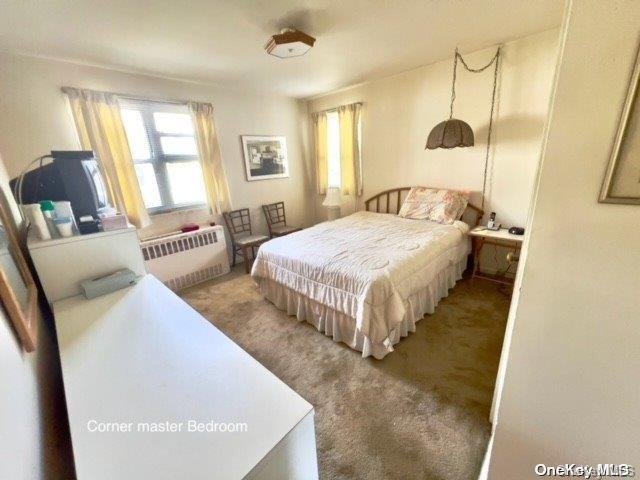 carpeted bedroom with radiator