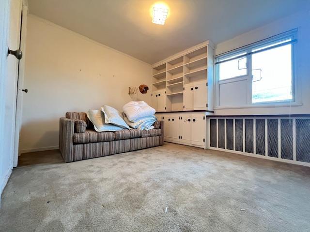 interior space featuring radiator, light carpet, and vaulted ceiling