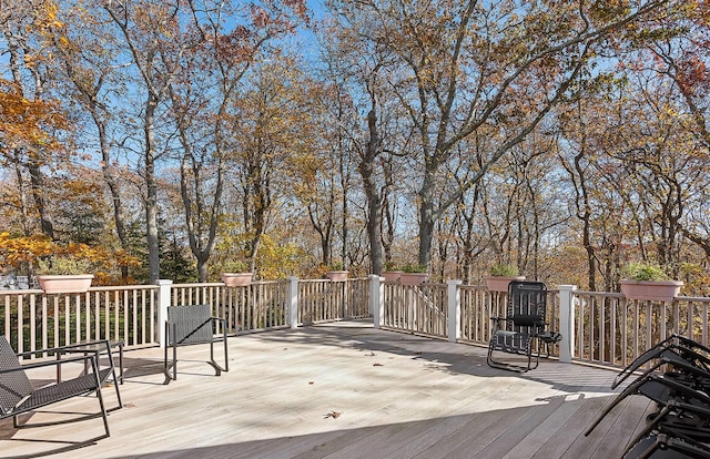 39 Dogwood St, Montauk, NY 11954 - photo 26