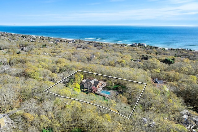39 Dogwood St, Montauk, NY 11954 - photo 28