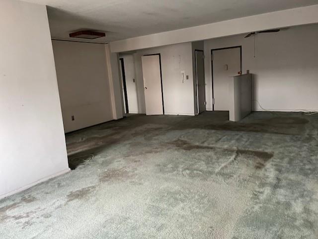 unfurnished room with carpet flooring