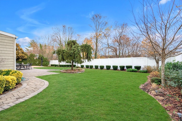 view of yard with a patio area