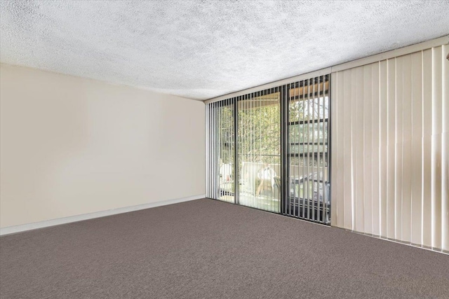 unfurnished room with carpet and a textured ceiling