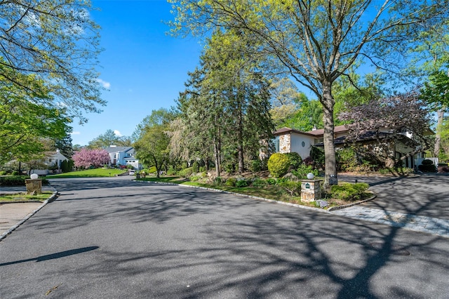 45 Bristol Dr, Manhasset, NY 11030 - view of street featuring curbs