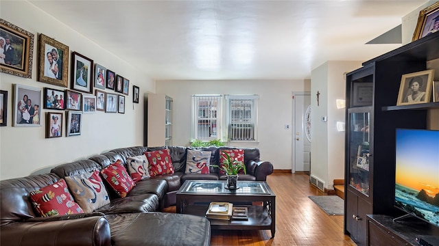 living room with wood-type flooring