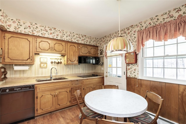 kitchen featuring black appliances, wood-type flooring, sink, and a wealth of natural light