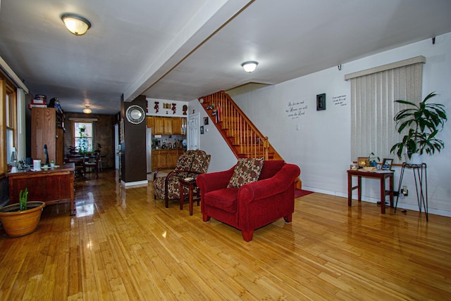 living room with wood-type flooring