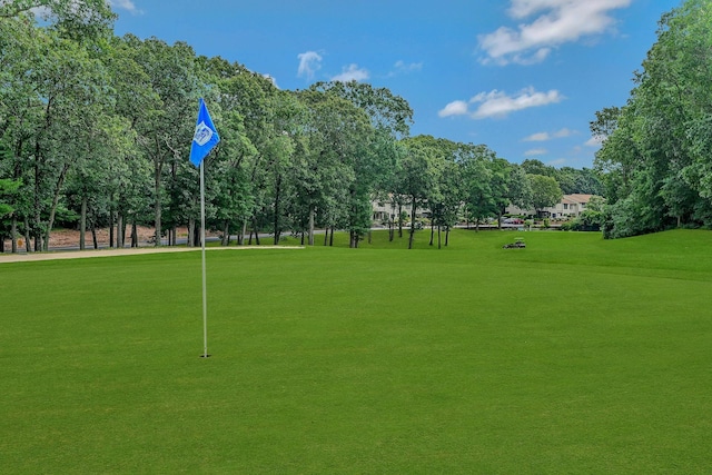 view of property's community with a yard