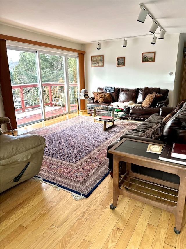 living room with light hardwood / wood-style floors and rail lighting