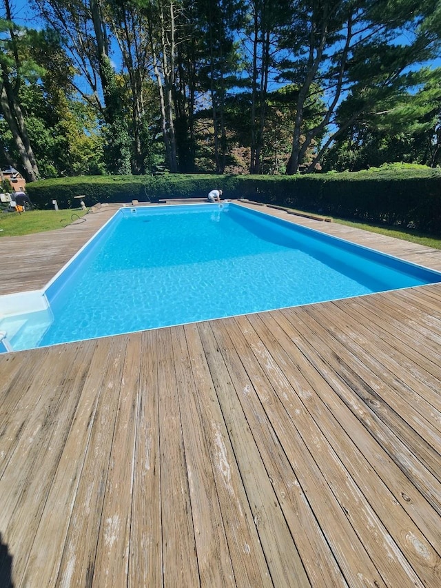 view of pool featuring a wooden deck