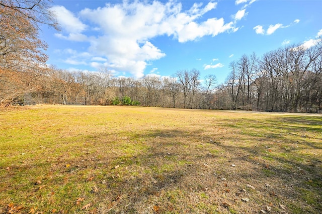 6535 Broadway Unit 6A, Bronx, NY 10471 - view of grassy yard with a wooded view