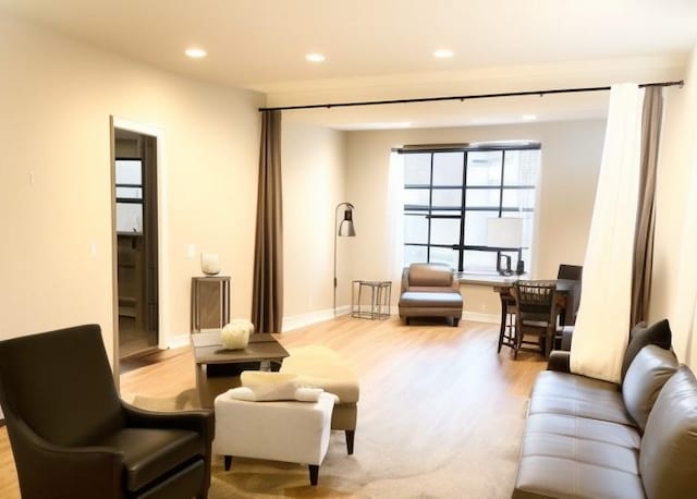 living room featuring light hardwood / wood-style floors